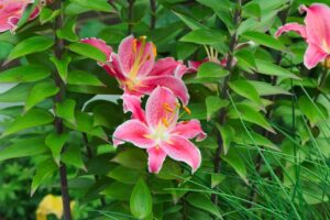 陰部の臭い対策におすすめのグッズは？