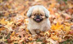 出産後の体臭を軽減するためのケア方法は？