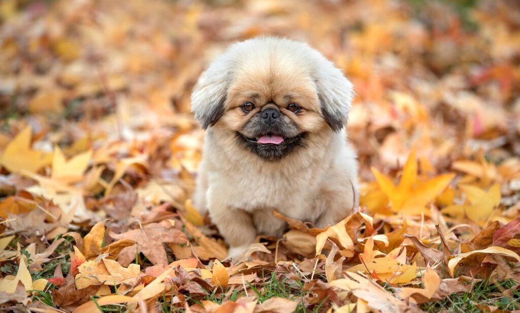 産後の体臭対策にはどんな方法が効果的ですか？