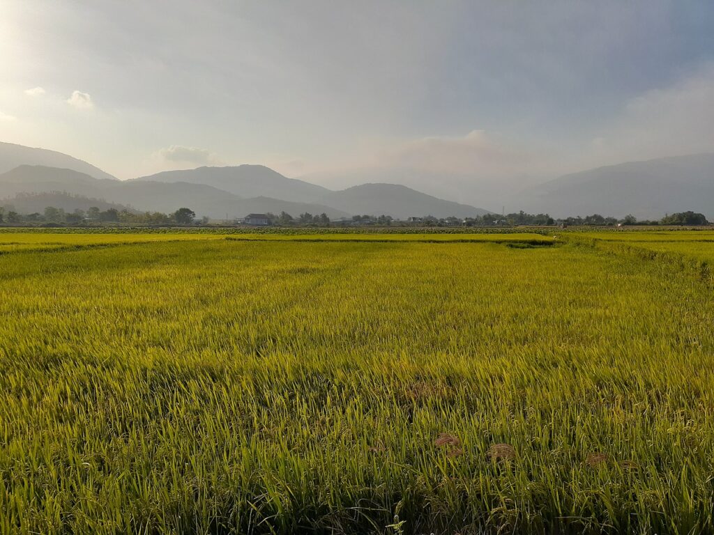 PMSによる体臭の悩みを解消するための対策は？