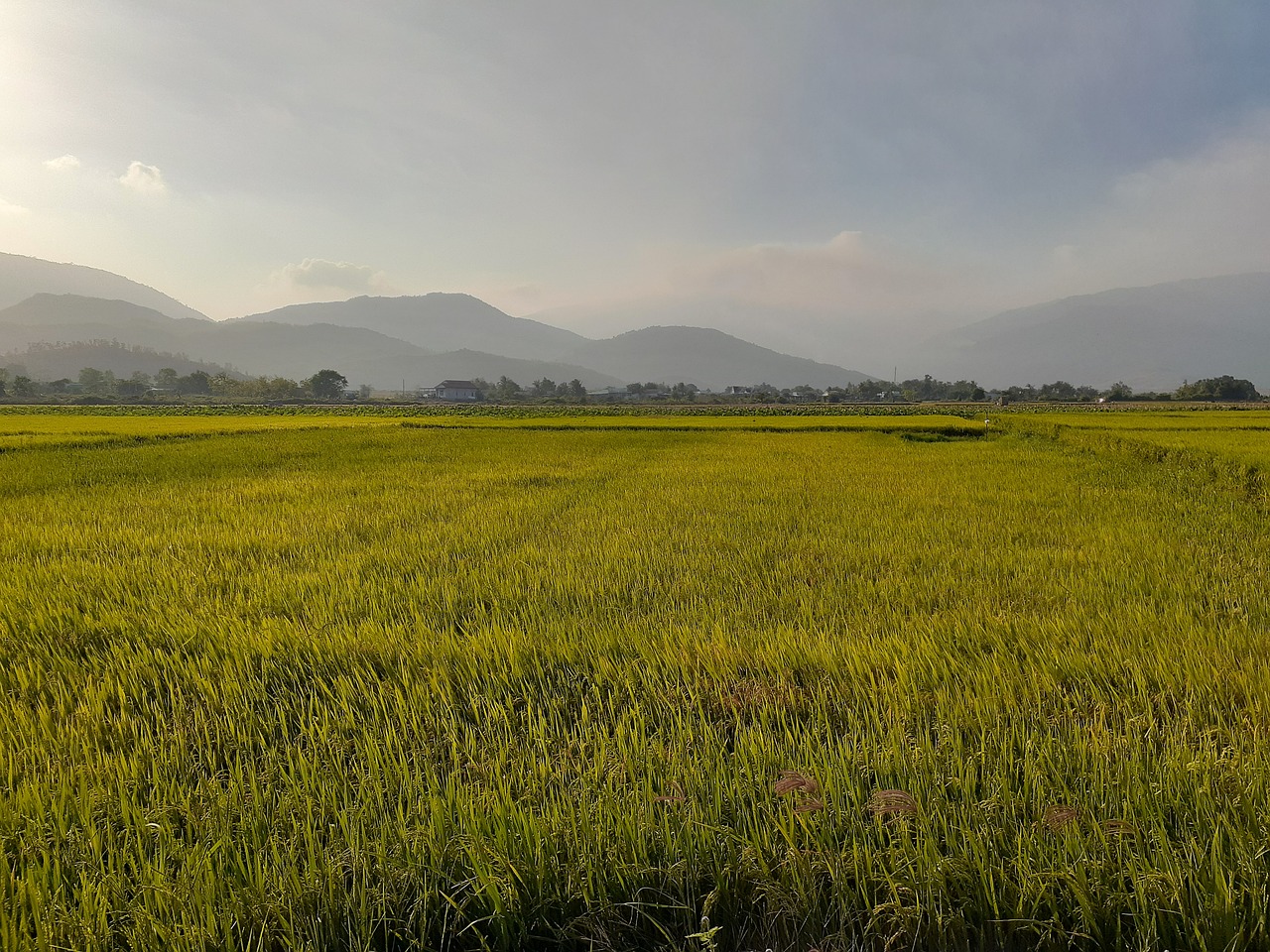 PMSによる体臭の悩みを解消するための対策は？