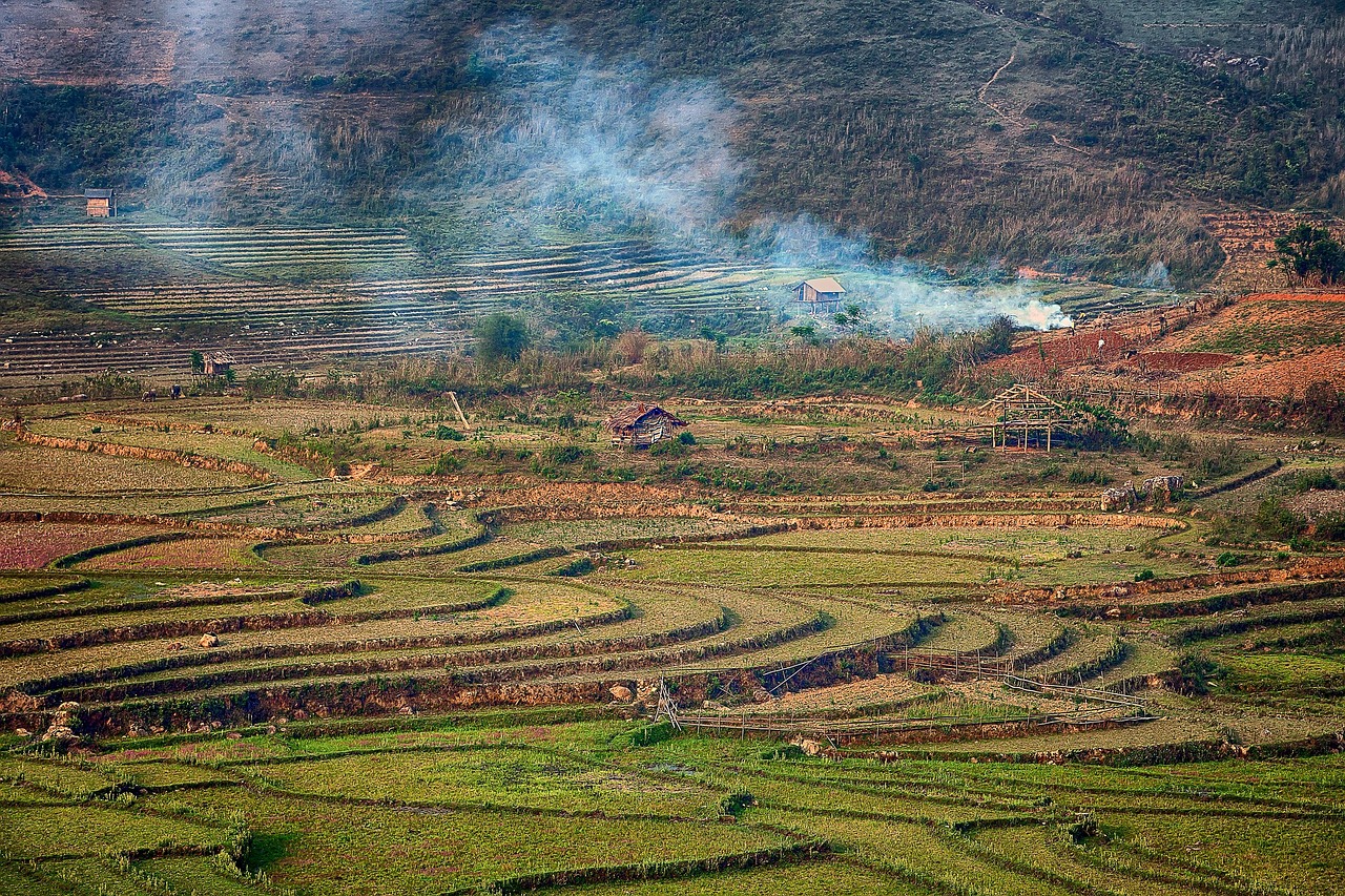 PMSの匂いを予防するために見直すべき生活習慣は？