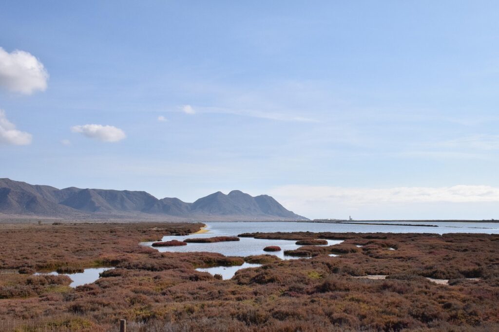 生理周期におけるニオイケアの方法は？