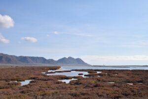 生理周期におけるニオイケアの方法は？