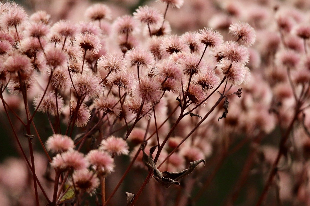 更年期におけるデリケートゾーンの急に気になる症状をセルフチェックする方法は？