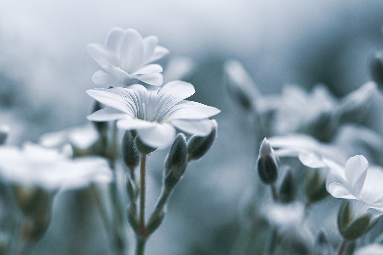 更年期によるデリケートゾーンの不調の原因は何ですか？