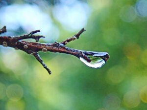 更年期によるおりものの低下を予防する方法は？
