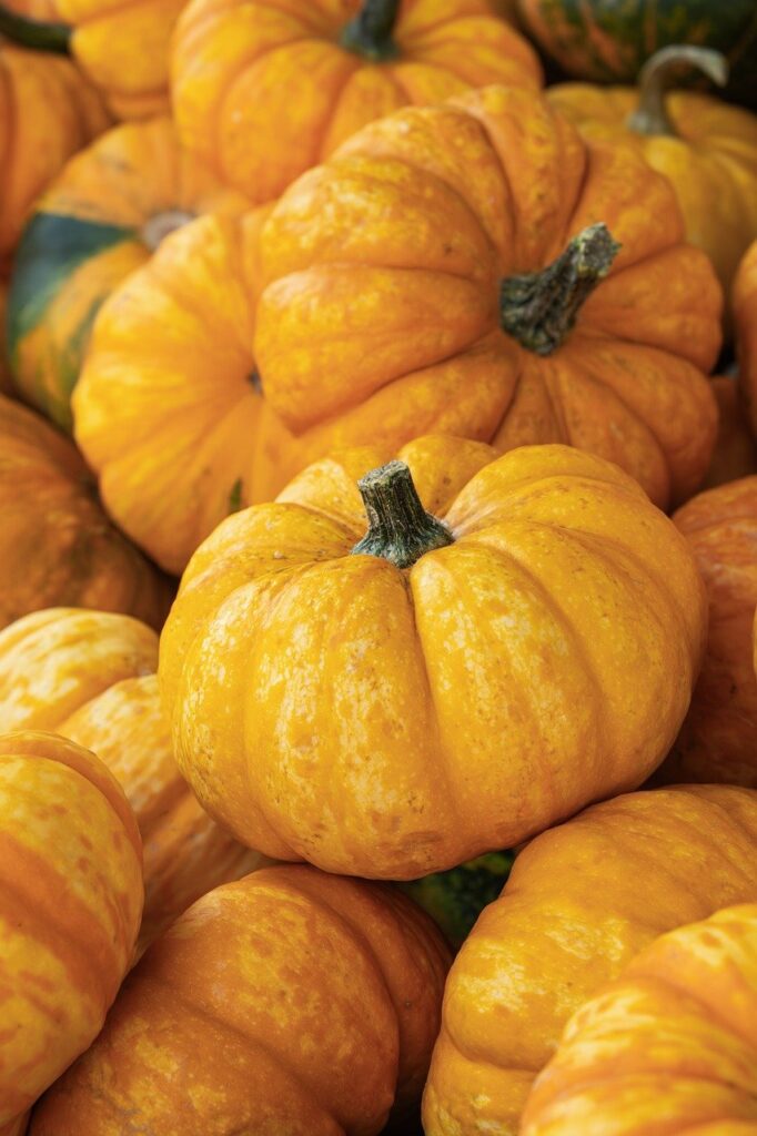 更年期の時期におけるデリケートゾーンの即効対策とは？