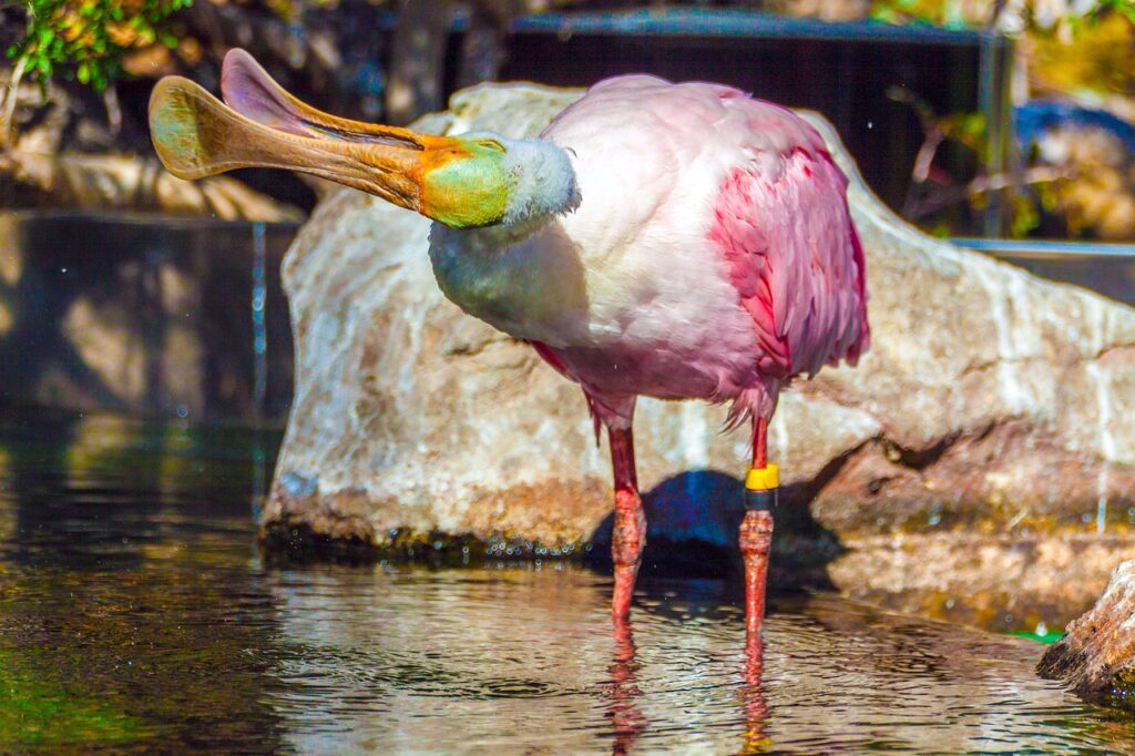 更年期の時期におりものの変化を予防する方法は？