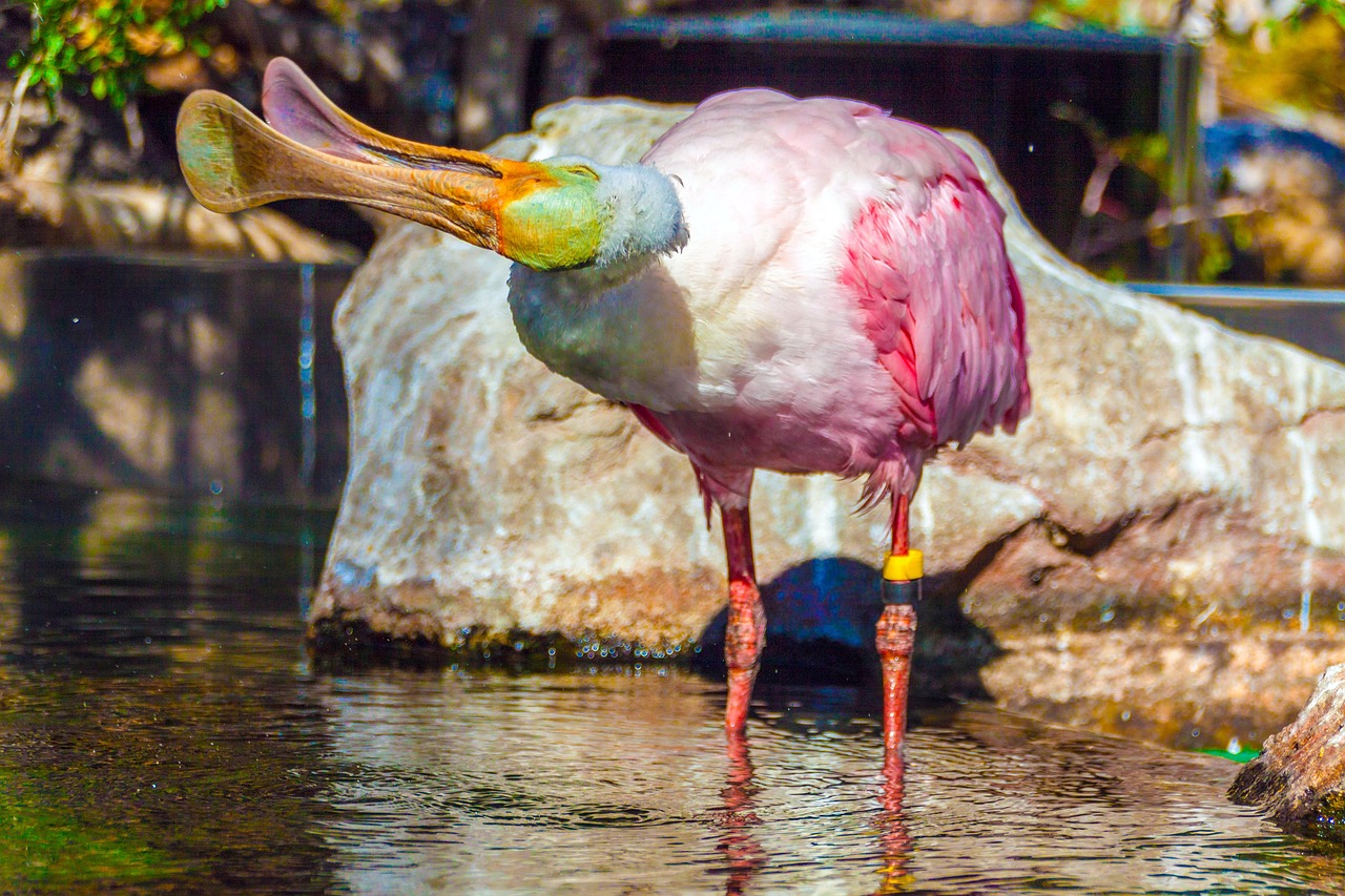更年期の時期におりものの変化を予防する方法は？