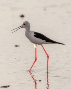 生理前の時期におりものが増える原因とは？