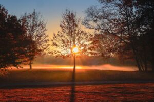 女性ホルモンの低下がデリケートゾーンに与える原因とは？