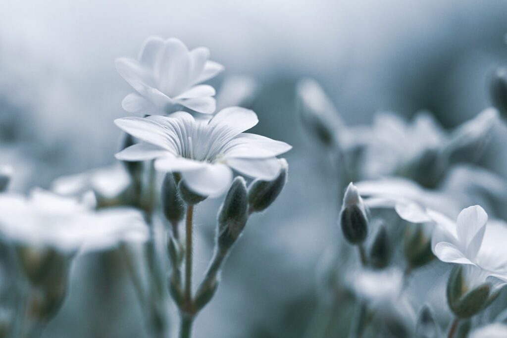 妊活の時期に知っておきたいデリケートゾーンの原因とは？