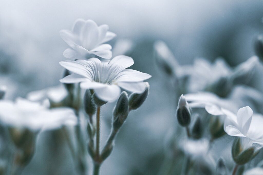 生理中のデリケートゾーンの不快感の原因は何ですか？