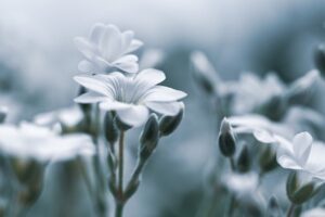 ストレス低下に効果的なデリケートゾーンの原因とは？