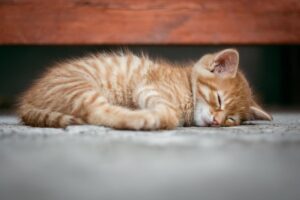 更年期のデリケートゾーンの悩みを解消する睡眠改善法は？